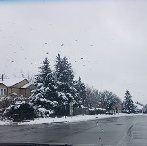 Meet your Posher, Farheen